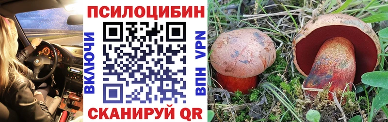 Псилоцибиновые грибы MAGIC MUSHROOMS  Купить где  Тверь 